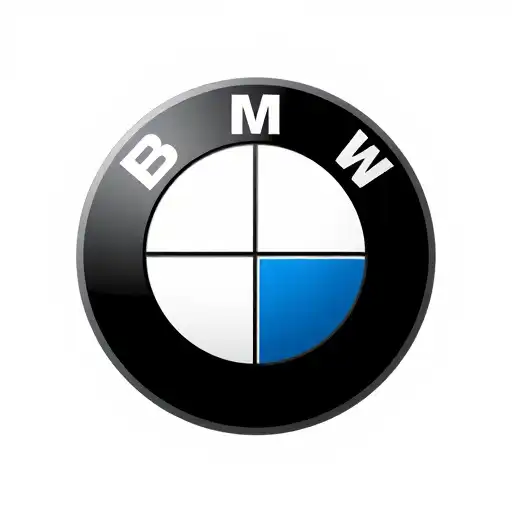55bmw